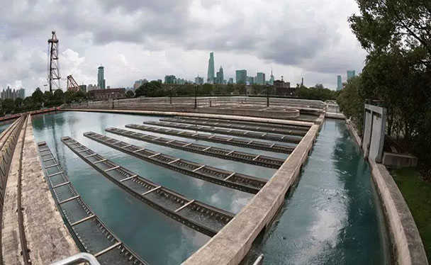 1563436335213945.jpg 1550731067396564-1 (1).jpg