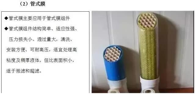 1550720518348027 (1).jpg